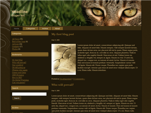 Cat Eyes Free Wordpress Theme